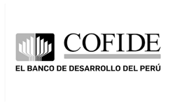 Thinnk Clientes_COFIDE_Logo_N