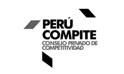 Thinnk Clientes_PERU COMPITE_Logo_N