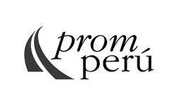 Thinnk Clientes_PromPeru_Logo_N